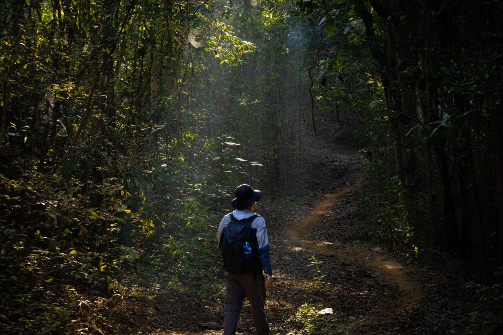 เส้นทางเดินเทรล